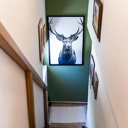 Nyaraló Kicikla Fire & Wine *