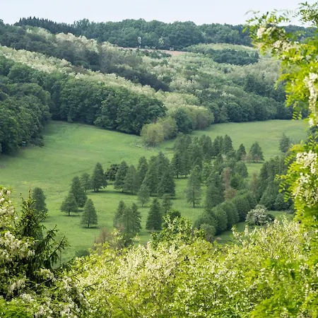 Kicikla Fire & Wine Case de vacanță