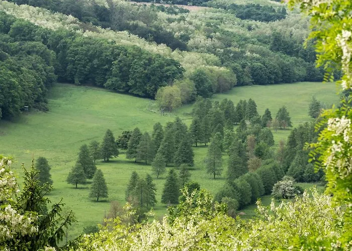 Kicikla Fire & Wine Feriehus